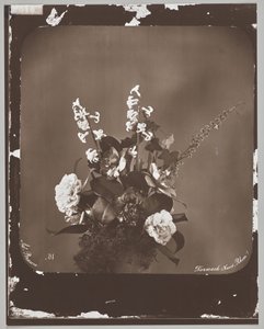 Sin título (arreglo floral) de Adolphe Braun