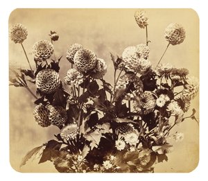Sin título, c. 1860 de Adolphe Braun