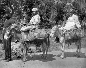 Camino a la cárcel, Jamaica, c1905 de Adolphe Duperly and Son