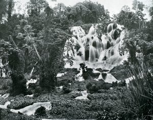 Cataratas del Río Rugiente, Jamaica, c1905 de Adolphe Duperly and Son