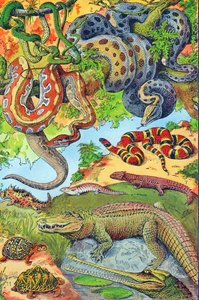 Ilustración de reptiles