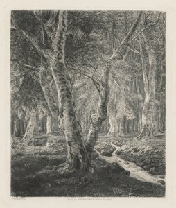 Bosques de Pierrefonds de Adolphe Théodore Jules Martial Potémont