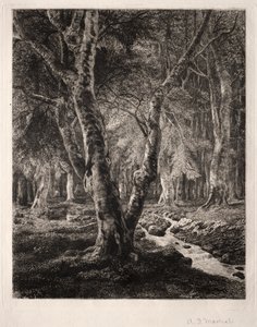 Bosque de Pierrefonds de Adolphe Théodore Jules Martial Potémont
