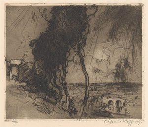 Paisaje con cielo de tormenta de Adriaan J. van 