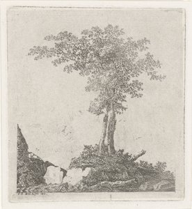 Dos árboles de Adriaan Jacob Willem van Dielen