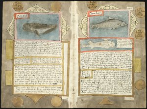Visboeck de Adriaen Coenen - KB 78 E 54 - folios 210v (izquierda) y 211r (derecha)
