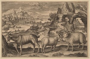  de Adriaen Collaert