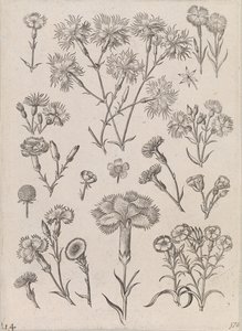 Narcisos de Adriaen Collaert