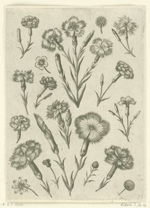 varios enfados Florilegio (título de la serie) de Adriaen Collaert