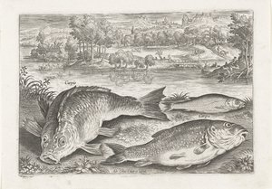 Tres carpas en un banco Pesca (título de la serie) Iconos de Piscium vivae (título de la serie)