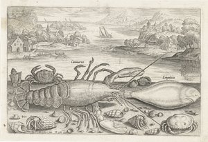 Un pez y unos crustáceos en la playa. Pesca (título de la serie) Iconos de Piscivm vivae (título de la serie)