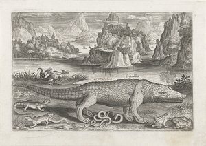 Algunos reptiles y anfibios en una orilla Pesca (título de la serie) Iconos de Piscivm vivae (título de la serie) de Adriaen Collaert