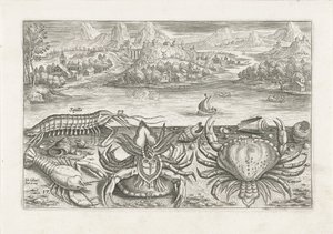 Algunos crustáceos en la playa Pesca (título de la serie) Iconos de Piscium vivae (título de la serie)