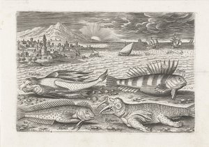 Algunos peces y una morsa en la playa. Pesca (título de la serie) Iconos de Piscivm vivae (título de la serie) de Adriaen Collaert