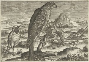 Algunas aves en un paisaje Pájaros (título de la serie) Avivm vivae (título de la serie) de Adriaen Collaert