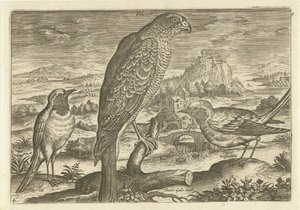 Algunas aves en un paisaje Pájaros (título de la serie) Avivm vivae (título de la serie) de Adriaen Collaert