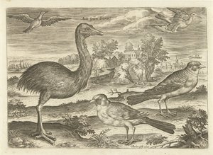 Algunas aves en un paisaje Pájaros (título de la serie) Avivm vivae (título de la serie) de Adriaen Collaert