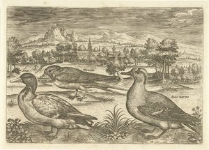 Algunas aves en un paisaje Pájaros (título de la serie) Avivm vivae (título de la serie) de Adriaen Collaert