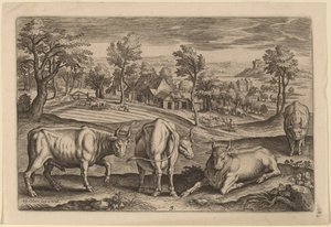 Cuatro toros de Adriaen Collaert