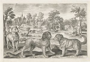 perros Animales de cuatro patas (título de la serie) Animalivm Qvaddrvpedvm (título de la serie)