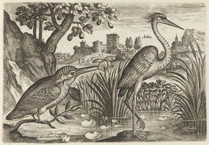  de Adriaen Collaert