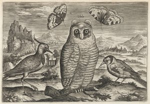  de Adriaen Collaert