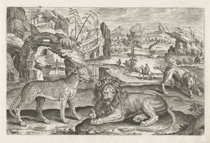 leones y leopardo Animales de cuatro patas (título de la serie) Animalivm Qvaddrvpedvm (título de la serie) de Adriaen Collaert