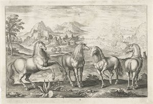 Caballos Animales de cuatro patas (título de la serie) Animalivm Qvaddrvpedvm (título de la serie)
