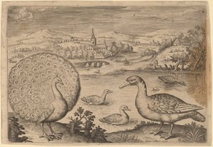 Pavo real y ganso de Adriaen Collaert