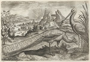  de Adriaen Collaert