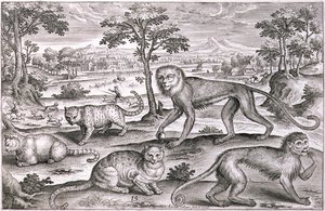 Tres gatos y dos monos