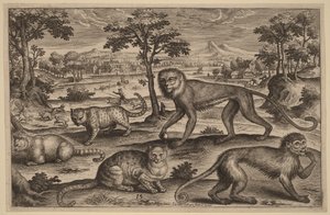  de Adriaen Collaert