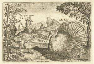 Dos gallinas en un paisaje. Avium Vivae (título de la serie) Pájaros (título de la serie) de Adriaen Collaert