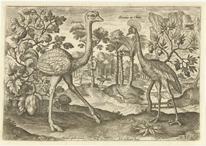 Dos pájaros no voladores en un paisaje Avium Vivae (título de la serie) Pájaros (título de la serie) de Adriaen Collaert