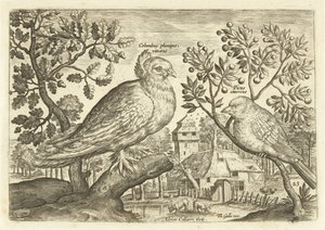 Dos pájaros en un paisaje Avium Vivae (título de la serie) Pájaros (título de la serie)
