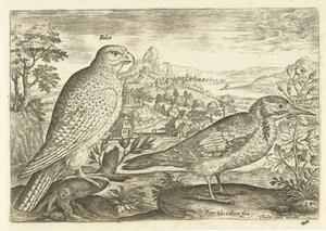 Dos pájaros en un paisaje Avium Vivae (título de la serie) Pájaros (título de la serie) de Adriaen Collaert