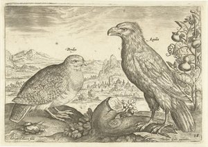 Dos pájaros en un paisaje Avium Vivae (título de la serie) Pájaros (título de la serie) de Adriaen Collaert