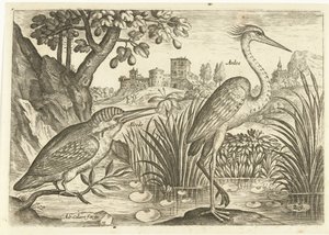 Dos pájaros en un paisaje Pájaros (título de la serie) Avium Vivae (título de la serie) de Adriaen Collaert