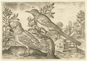 Dos pájaros en un paisaje Pájaros (título de la serie) Avium Vivae (título de la serie) de Adriaen Collaert