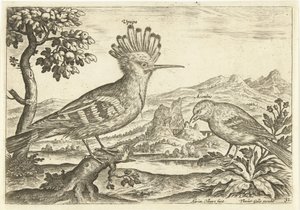 Dos pájaros en un paisaje Pájaros (título de la serie) Avium Vivae (título de la serie) de Adriaen Collaert