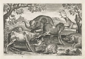Animales de combate
Animales de cuatro patas (título de la serie)
Animalivm Qvaddrvpedvm (título de la serie) de Adriaen Collaert