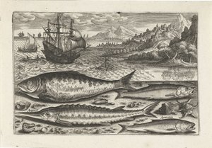 Cuatro peces en la playa Pesca (título de la serie) Iconos de Piscium vivae (título de la serie) de Adriaen Collaert