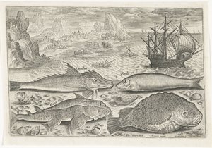 Cuatro peces en la playa Pesca (título de la serie) Iconos de Piscium vivae (título de la serie) de Adriaen Collaert