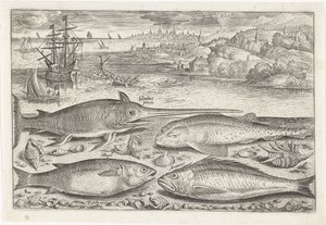 Cuatro peces en la playa Pesca (título de la serie) Iconos de Piscium vivae (título de la serie) de Adriaen Collaert
