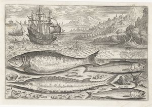 Cuatro peces en la playa Pesca (título de la serie) Iconos de Piscium vivae (título de la serie) de Adriaen Collaert