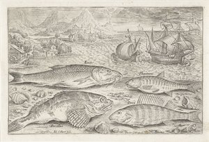 Cuatro peces en la playa Pesca (título de la serie) Iconos de Piscium vivae (título de la serie) de Adriaen Collaert