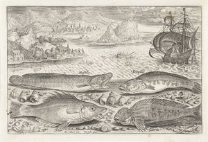Cuatro peces en la playa Pesca (título de la serie) Iconos de Piscium vivae (título de la serie) de Adriaen Collaert