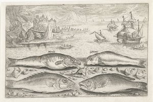 Cuatro peces en la playa Pesca (título de la serie) Iconos de Piscium vivae (título de la serie) de Adriaen Collaert