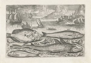 Cuatro peces en la playa Pesca (título de la serie) Iconos de Piscium vivae (título de la serie) de Adriaen Collaert