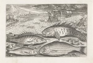 Cuatro peces en la playa Pesca (título de la serie) Iconos de Piscium vivae (título de la serie) de Adriaen Collaert